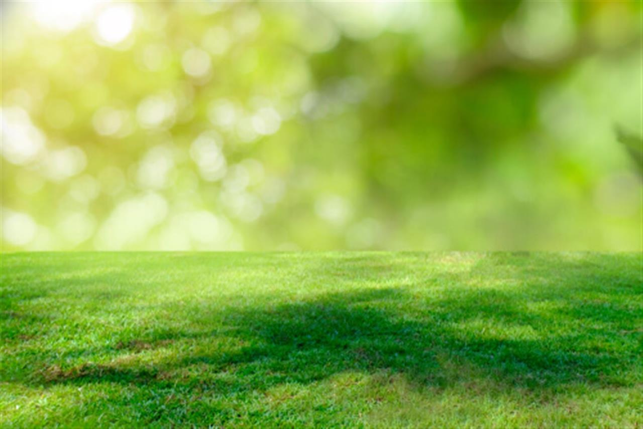 Sådan får du en smuk græsplæne på trods af den tidskrævende græsslåning