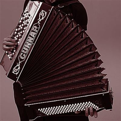 Harmonikaspiller til reception