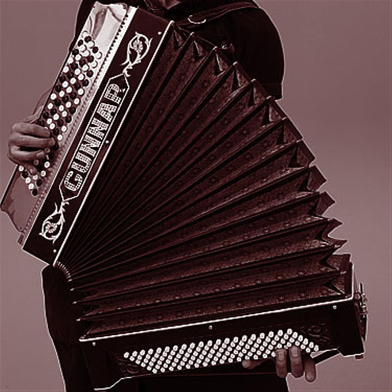 Harmonikaspiller til reception